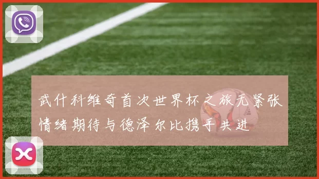 武什科维奇首次世界杯之旅无紧张情绪期待与德泽尔比携手共进