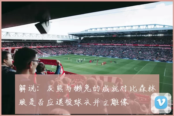 解说：灰熊与獭兔的成就对比森林狼是否应退役球衣并立雕像